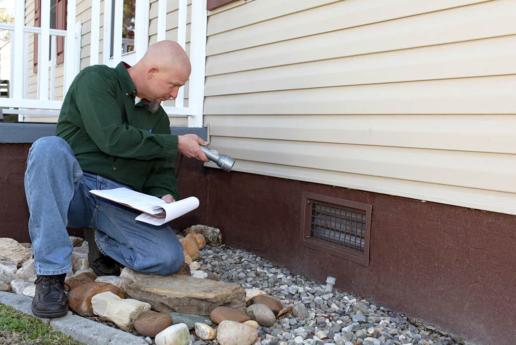 Pest Inspection Service in Melbourne